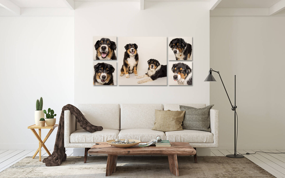 Cosmo+Arlo Livingroom_