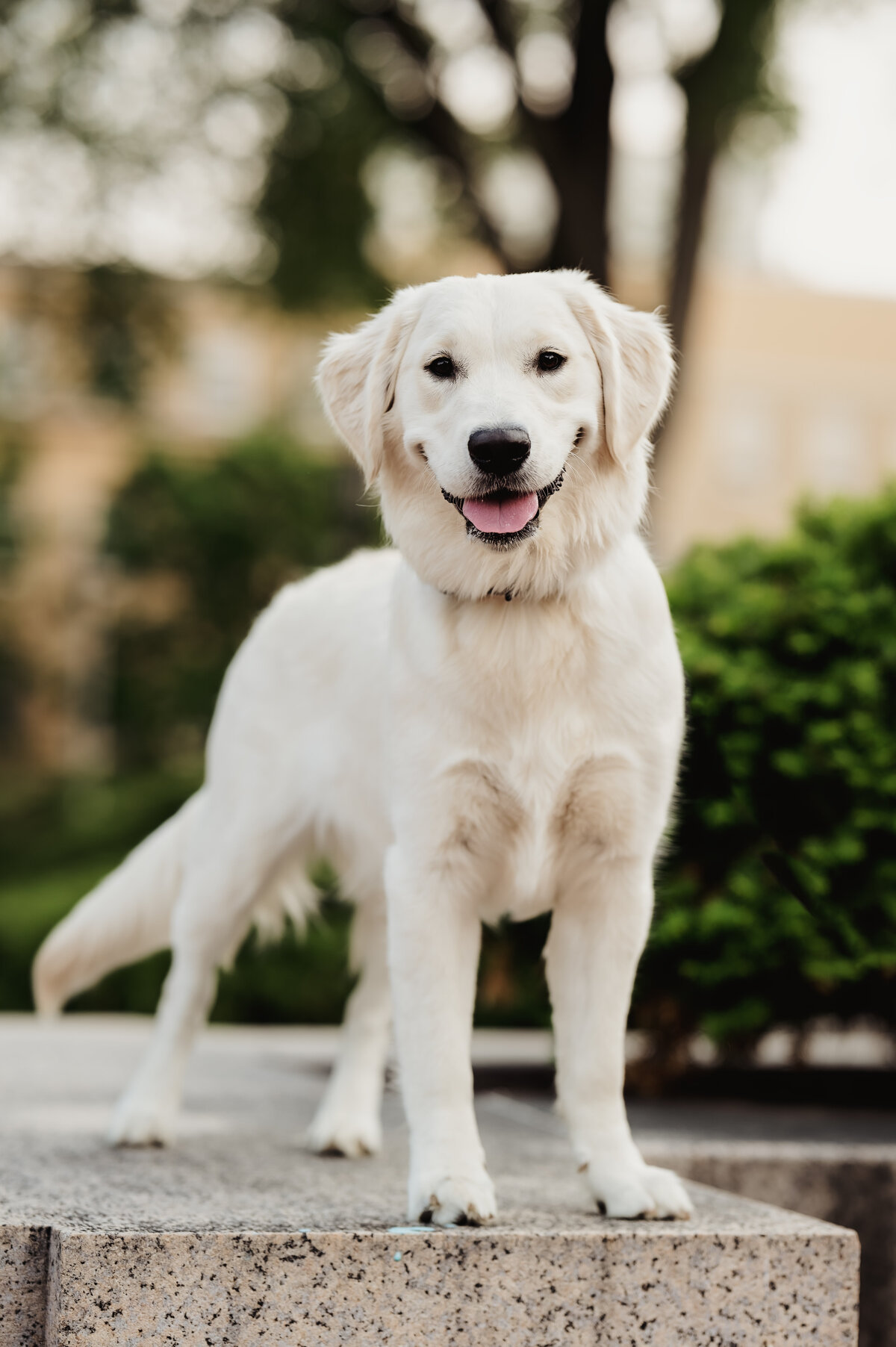 TeresaT_Spring2025_053