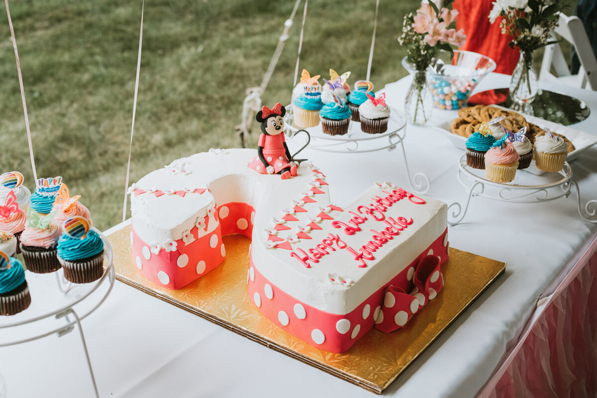 outdoor-minnie-mouse-birthday-celebration-19