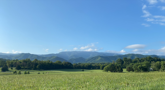 Tai Chi Gung In Nature aligns you with flowing Chi to bring you balance and stress release.
