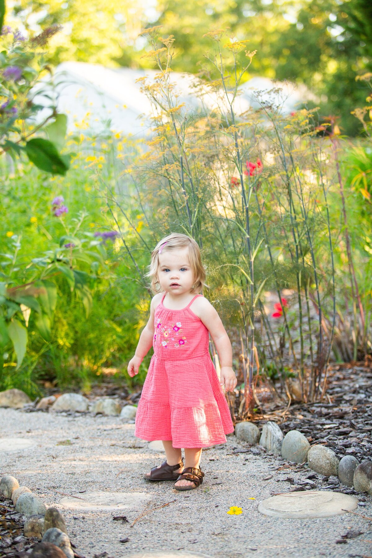 toddler-pink-dress-pinehurst-photographer