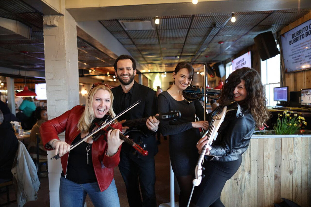 Elegance Quartet group of musicians