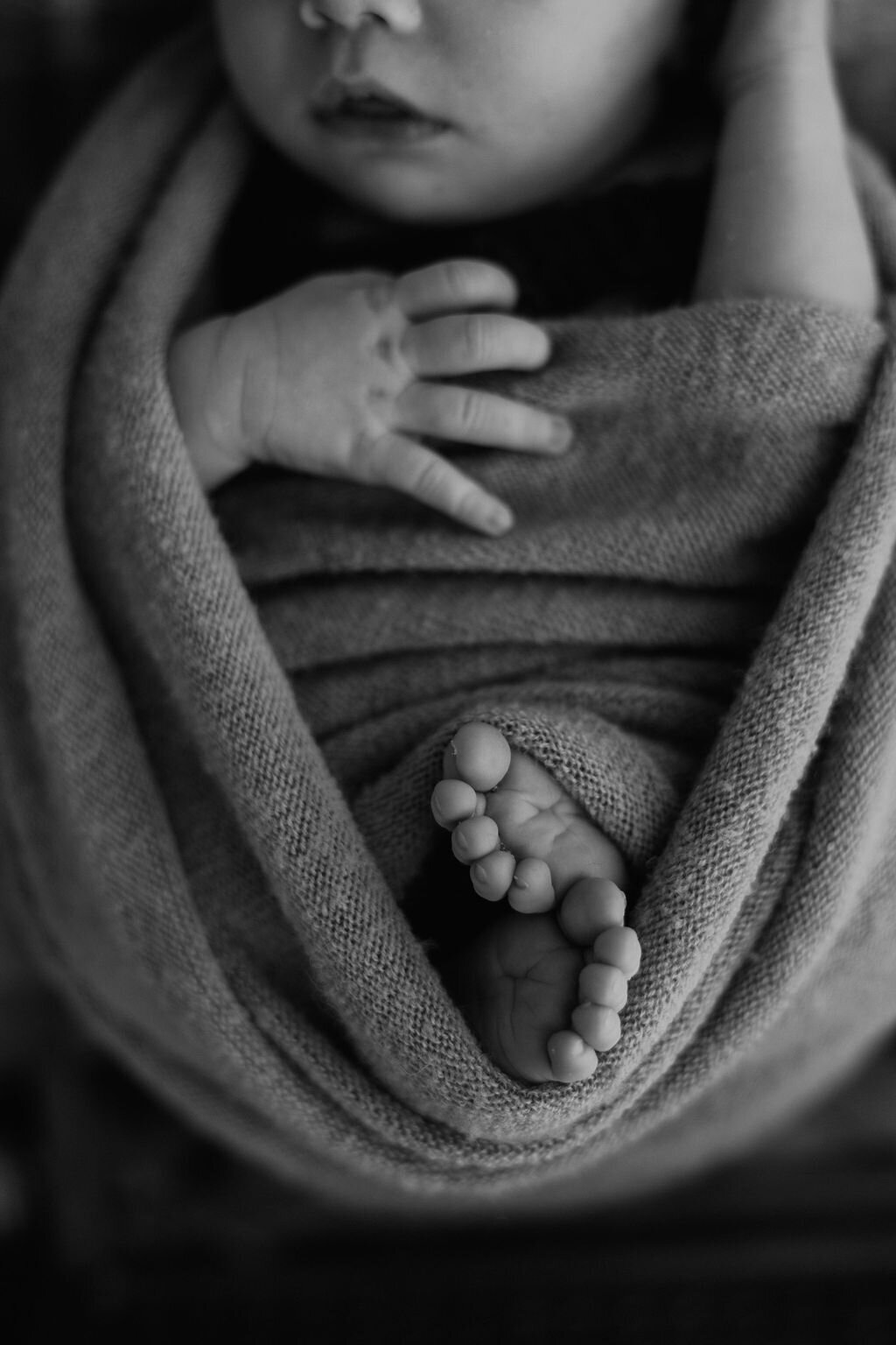 missouri-newborn-photographer740A3190