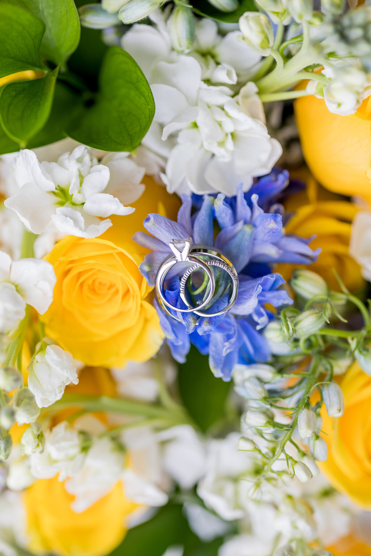 bright joyful wedding photos true to color boston photographer