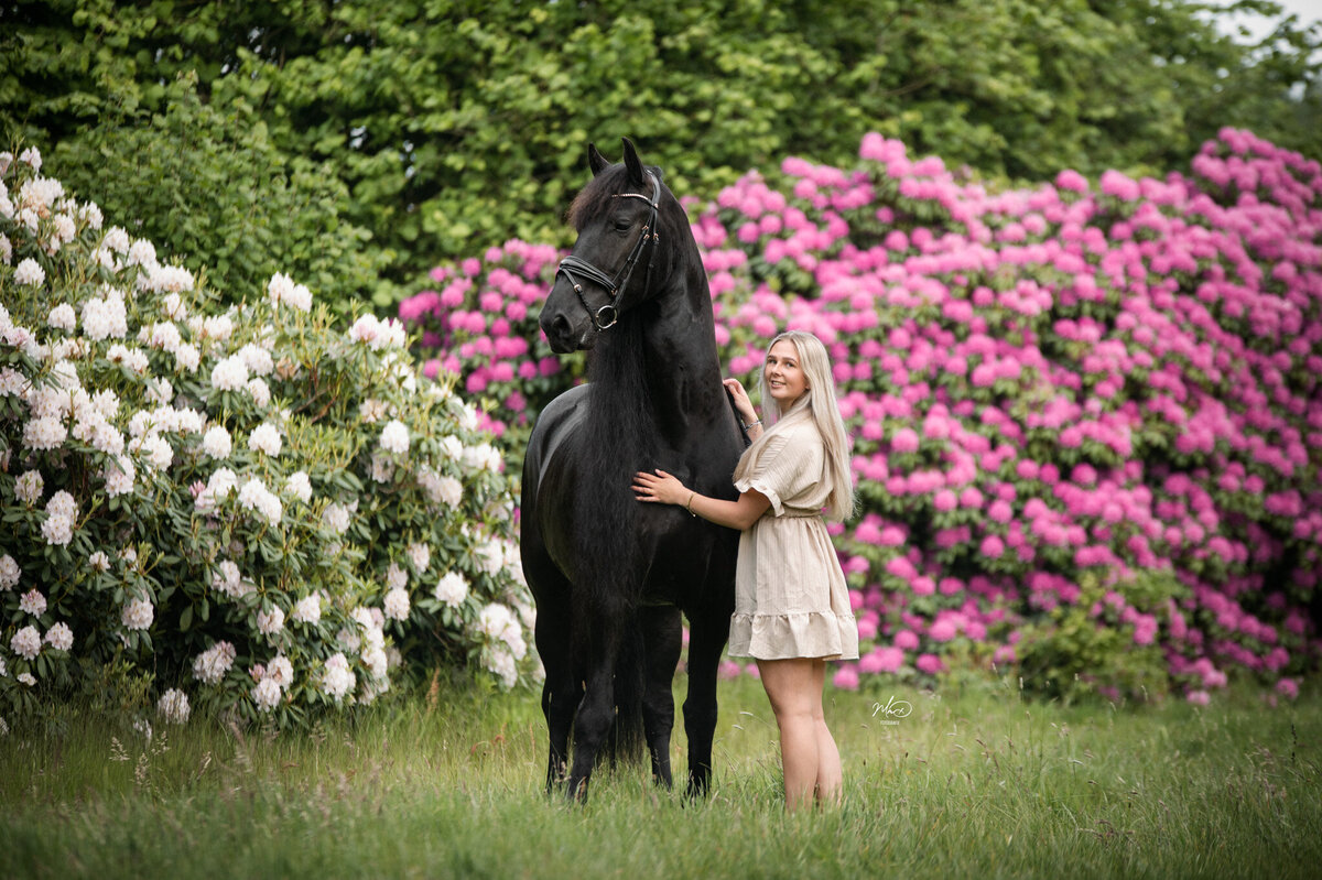 paardenfotograaf in friesland (4)