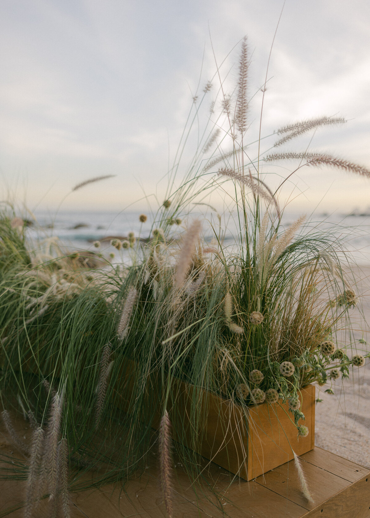 cabo-wedding-Holly Clark Photography -511