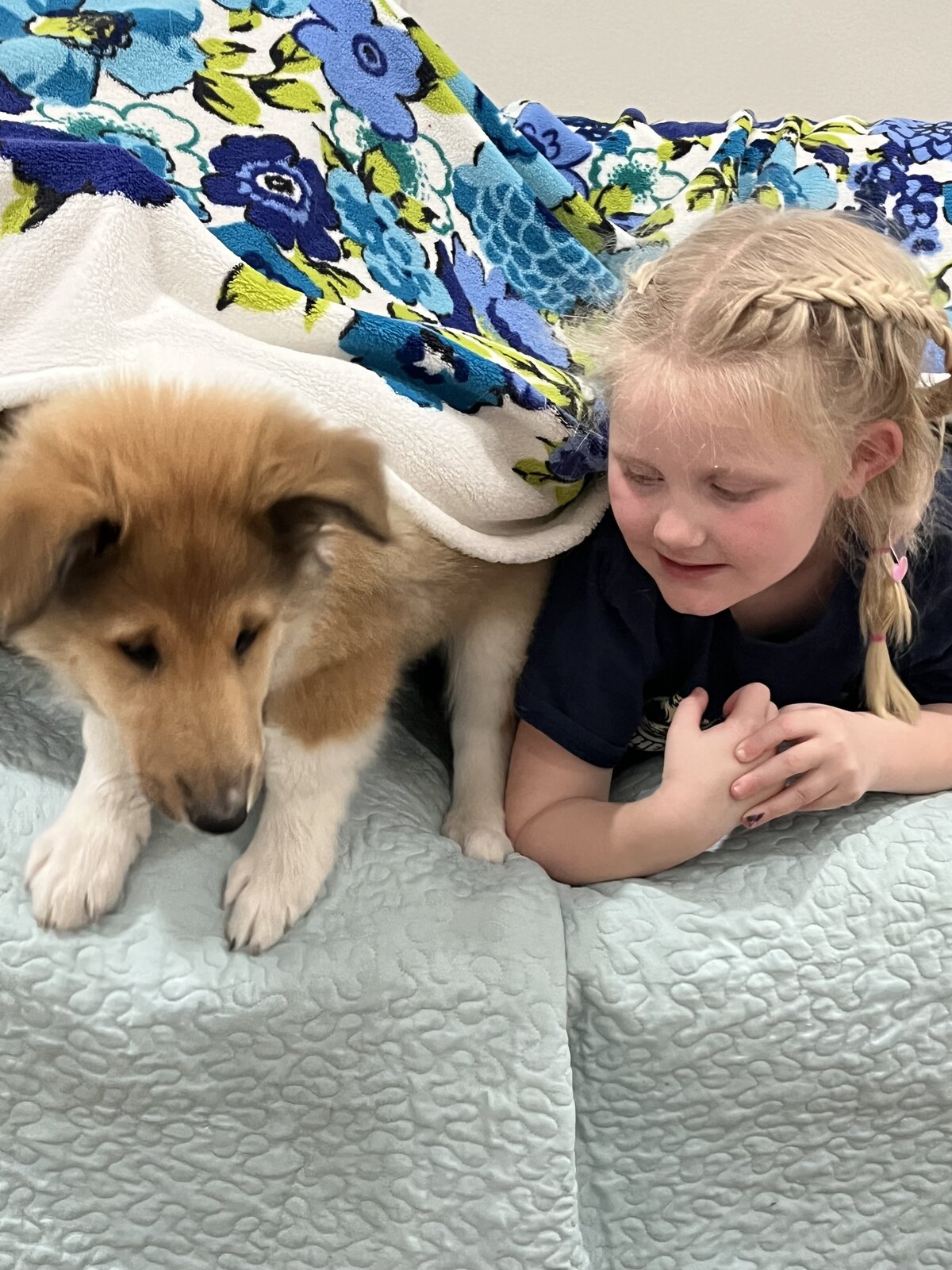 Teton and Lawson in bed