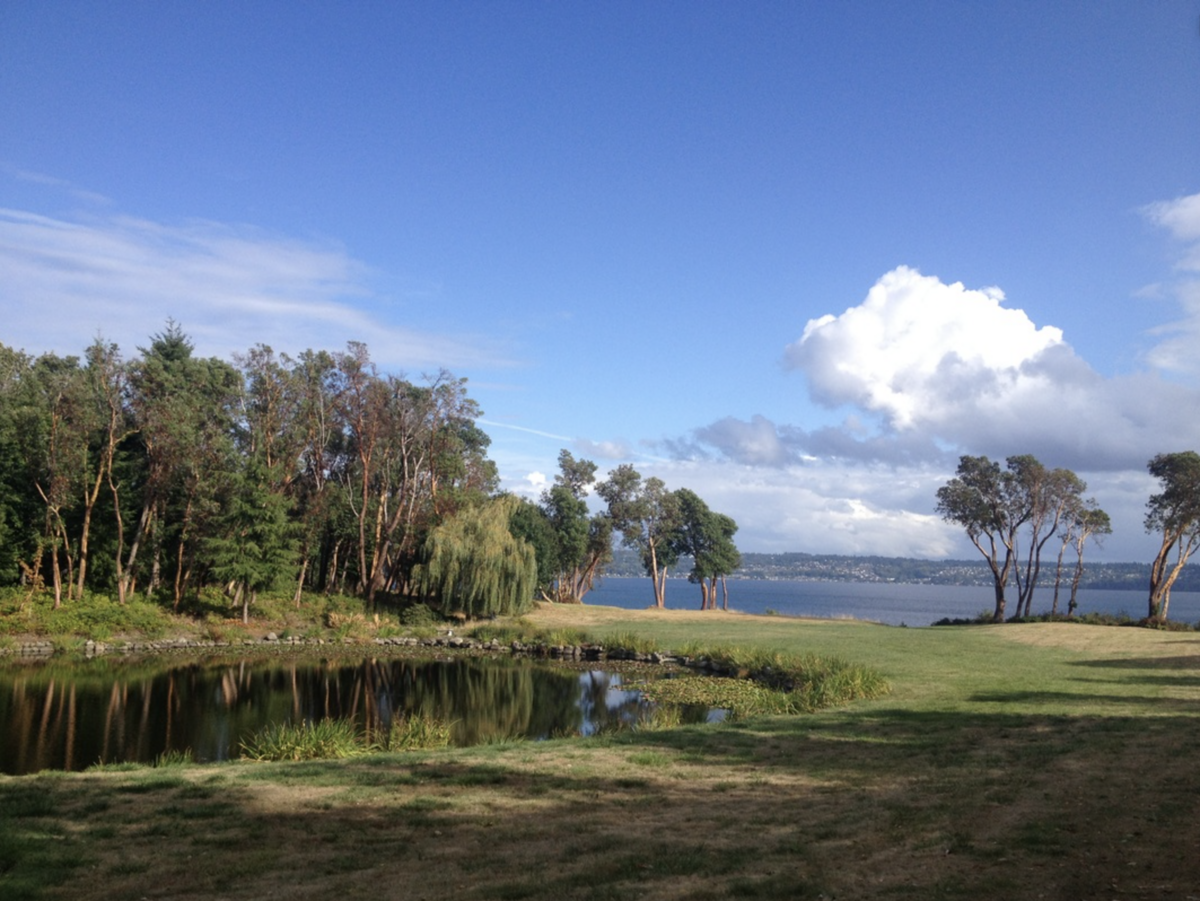 Vashon Field and pond 2