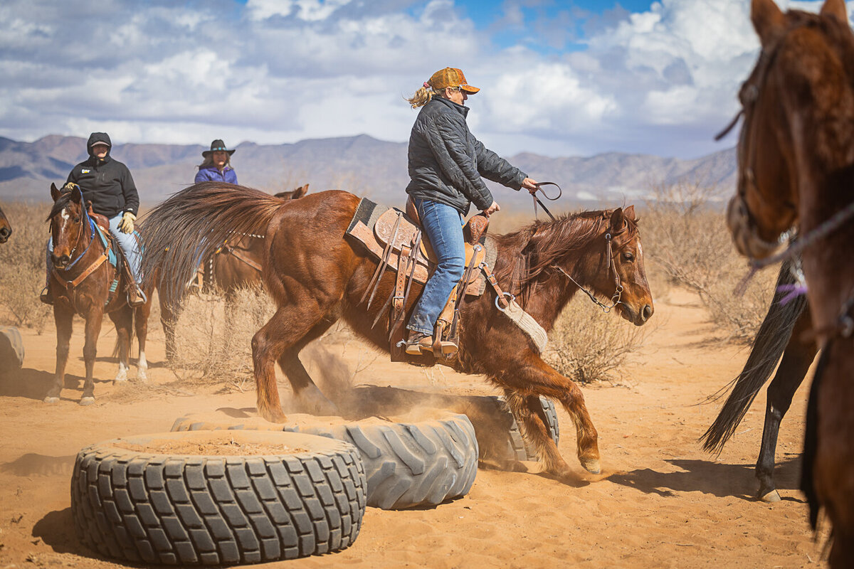 New-Mexico-Horse-Show-Photographer-030