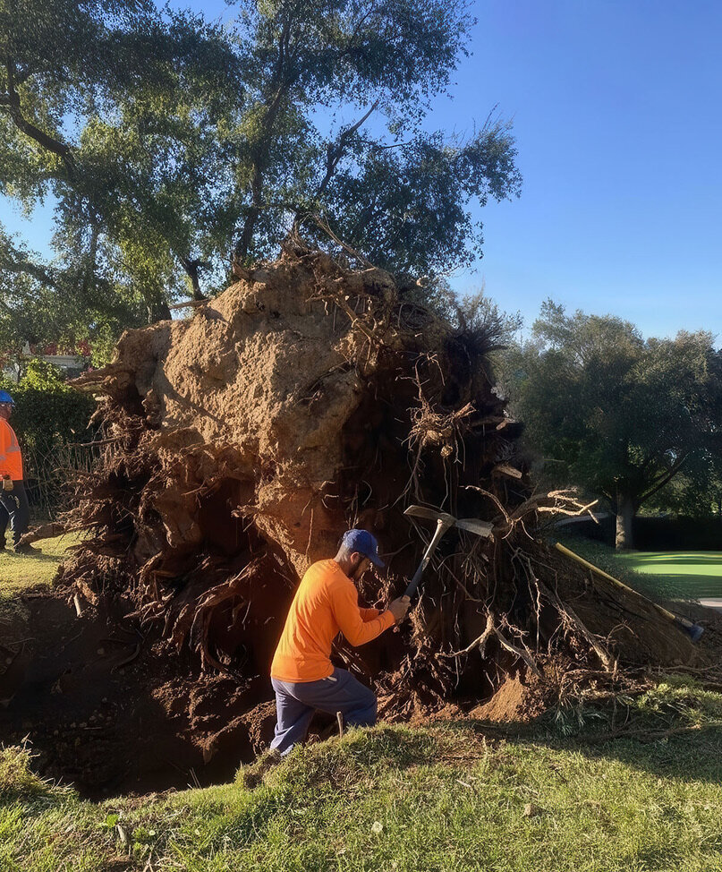 191503D6-2D25-43AC-95CE-B189C0748A09_1_105_c