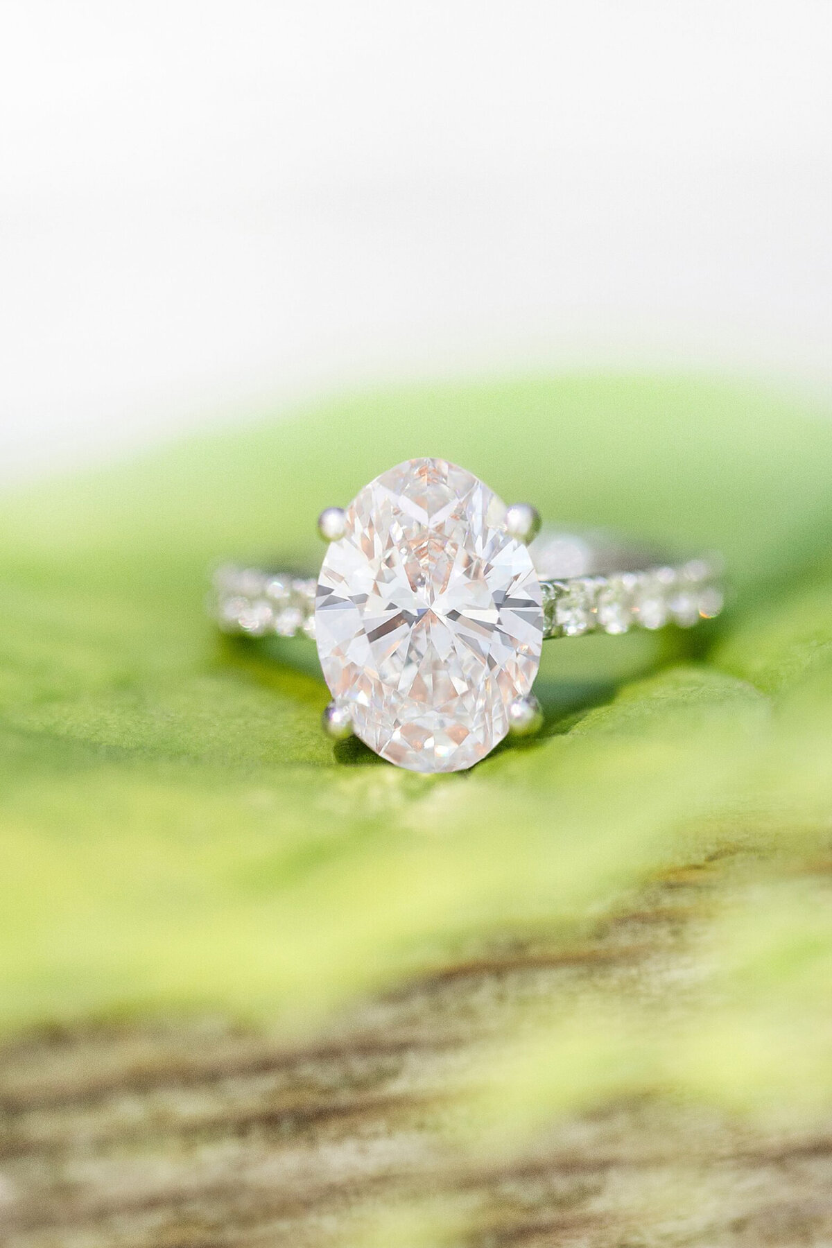 PJ & Jasmine _ Walnut Creek, California Engagement Portrait Session10