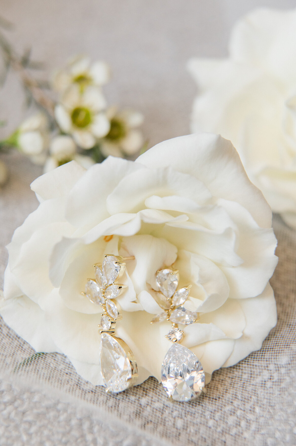 Arlington hotel wedding3