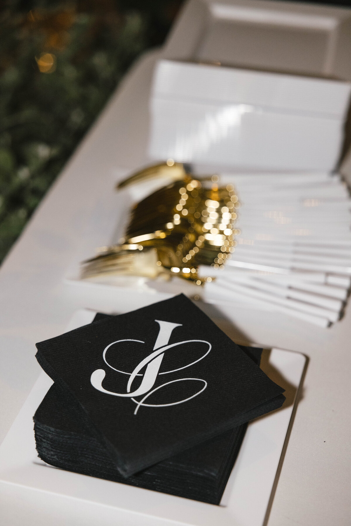 NicoleIvanovPhoto-1122