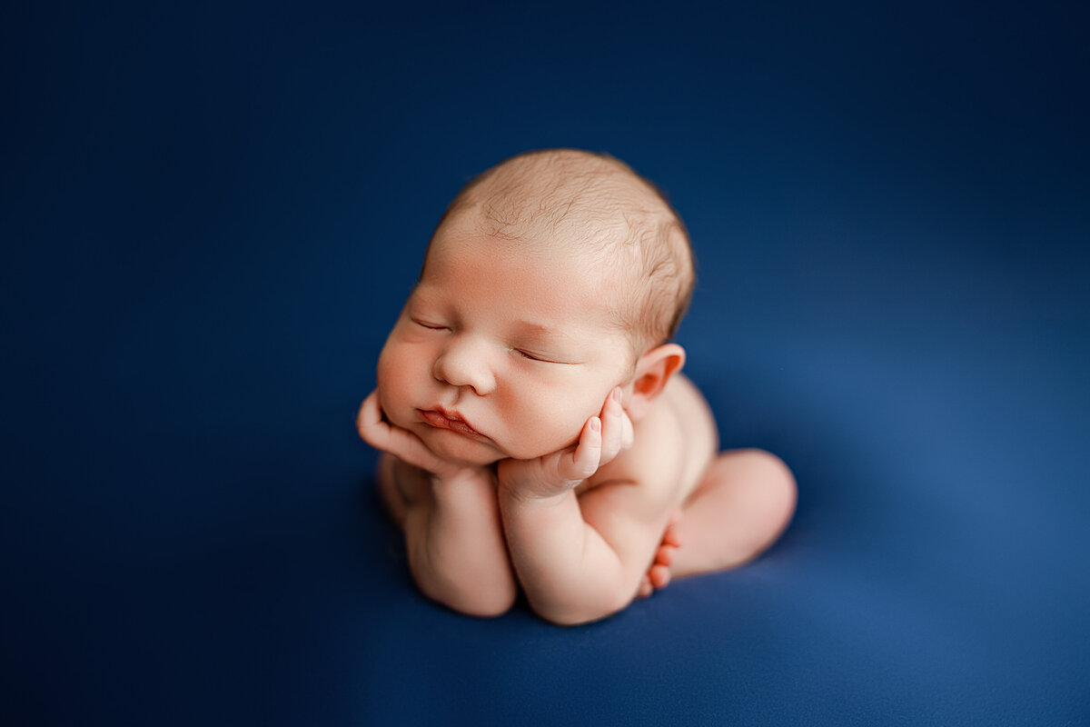 newborn photography north al