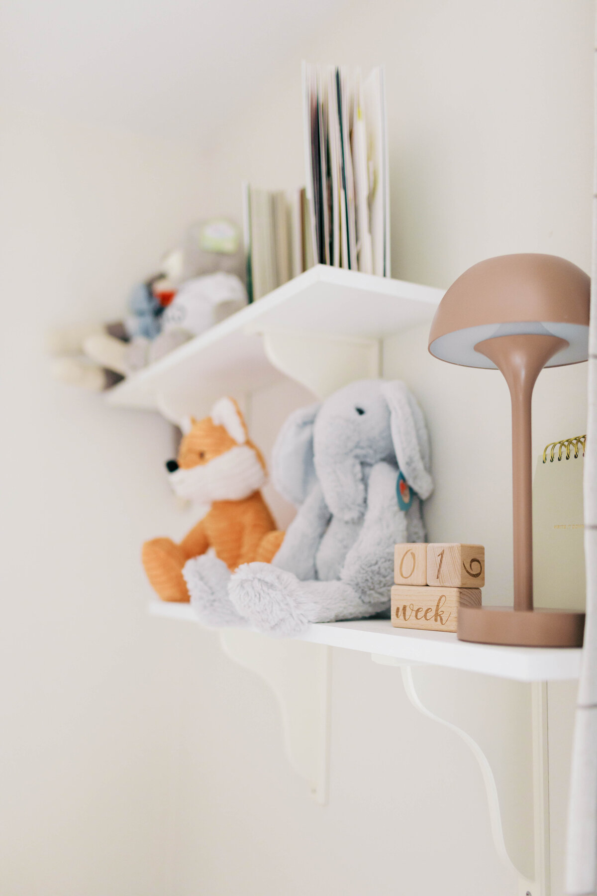 winston-salem-newborn-photographer9