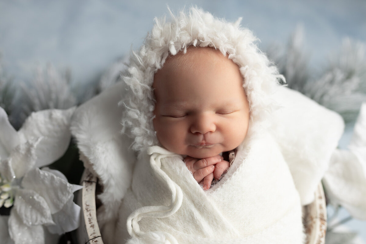Winter wonderland newborn portrait with a baby wrapped in white, surrounded by white poinsettias and snowy greenery by Dallas newborn photography studio.