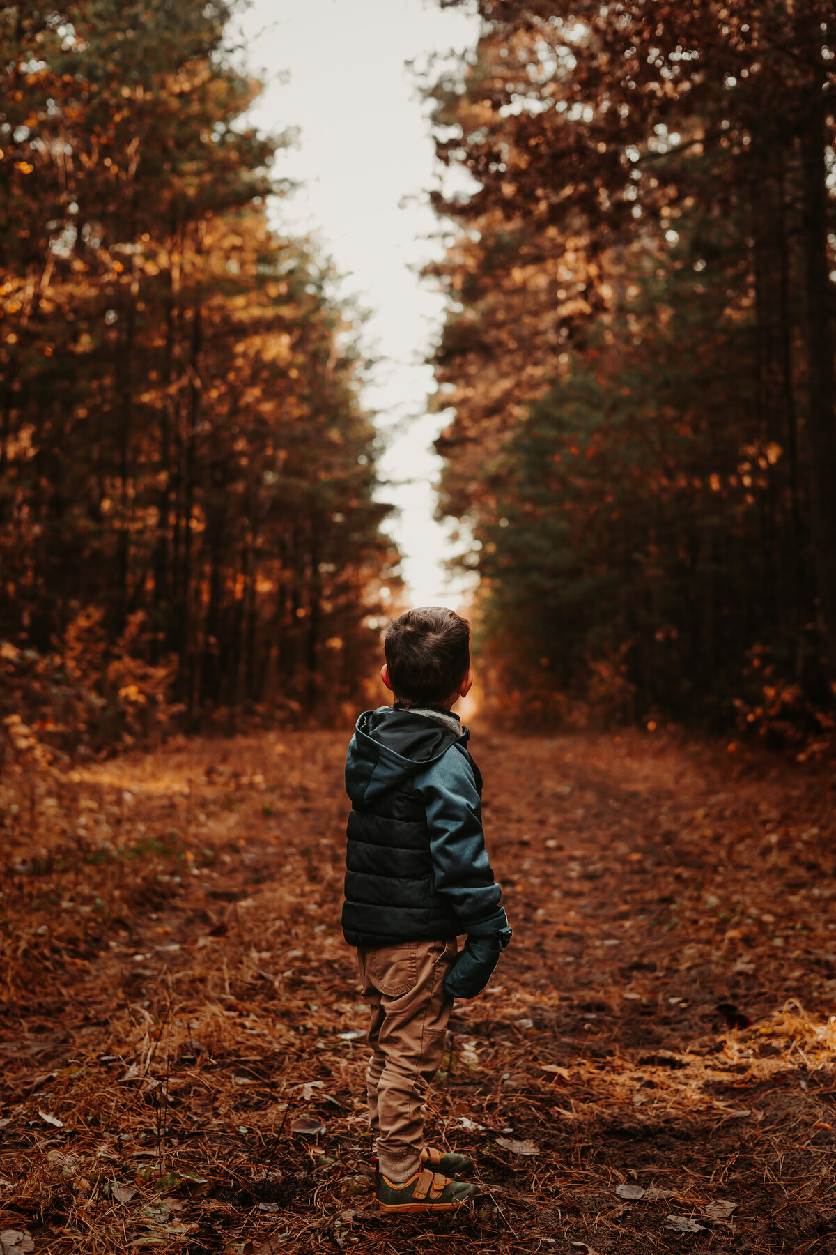 Nature photography - Amanda Nicholle Photography