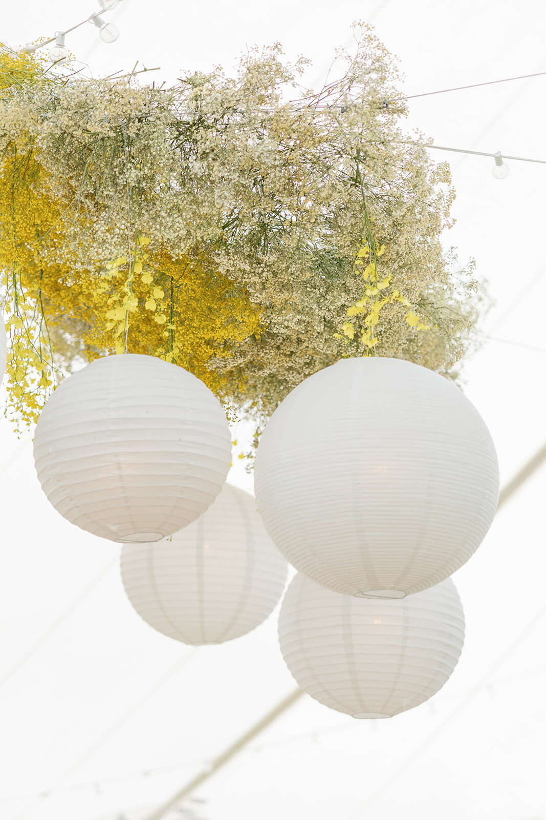loui_photography_graduation_party_minnesota-25