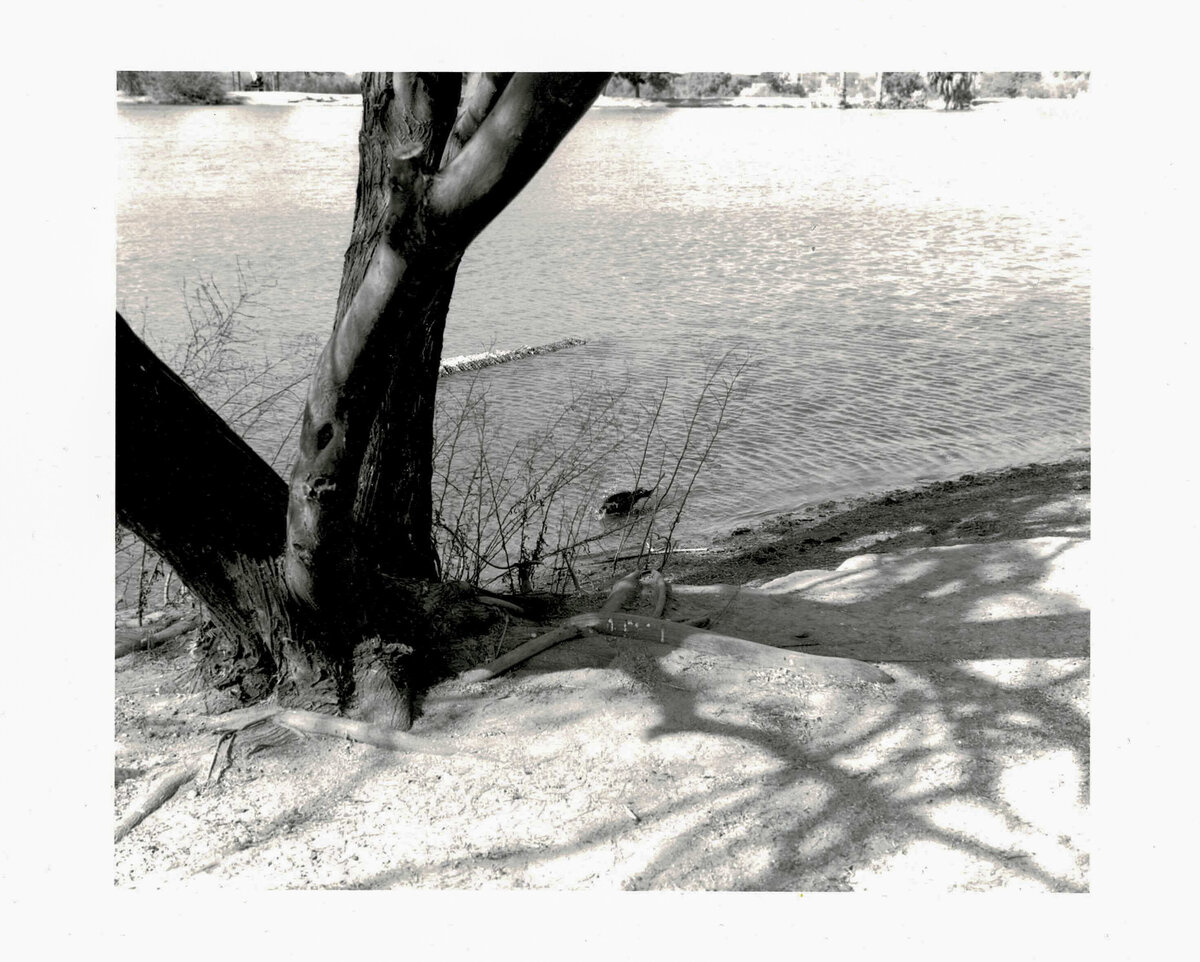 darkroomprintscan-33
