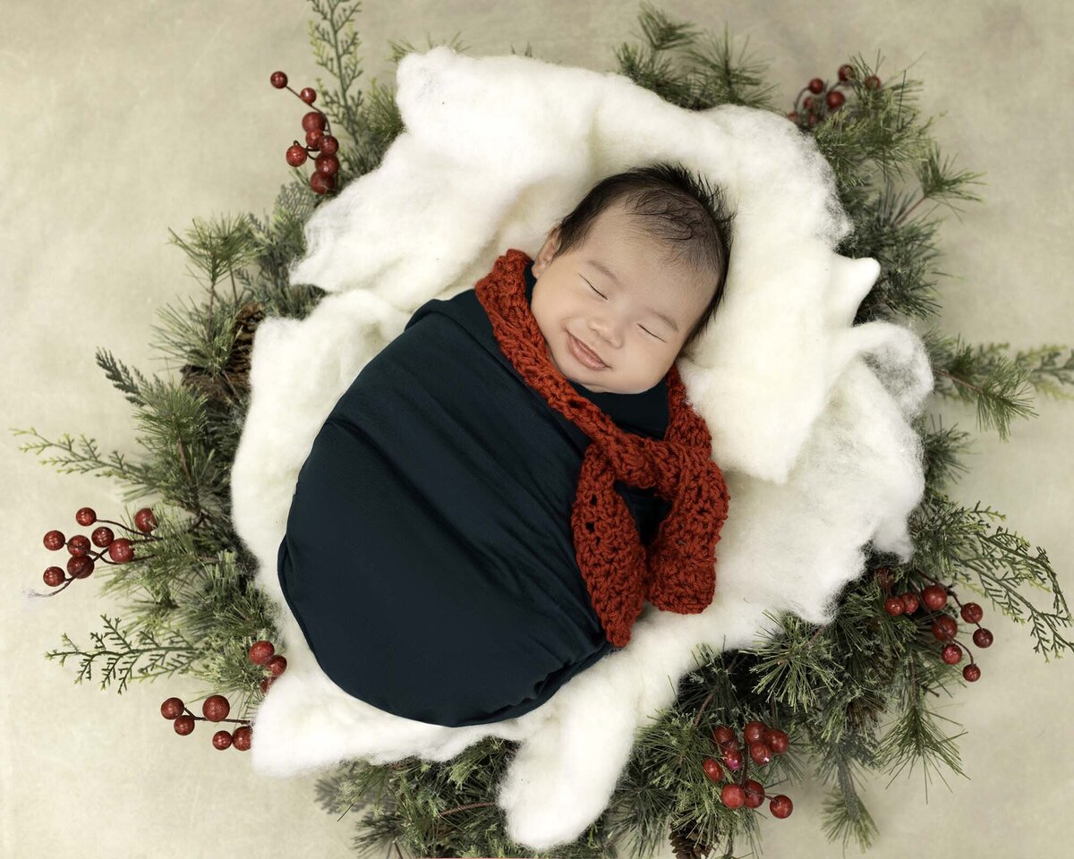 holiday-photos-by-area