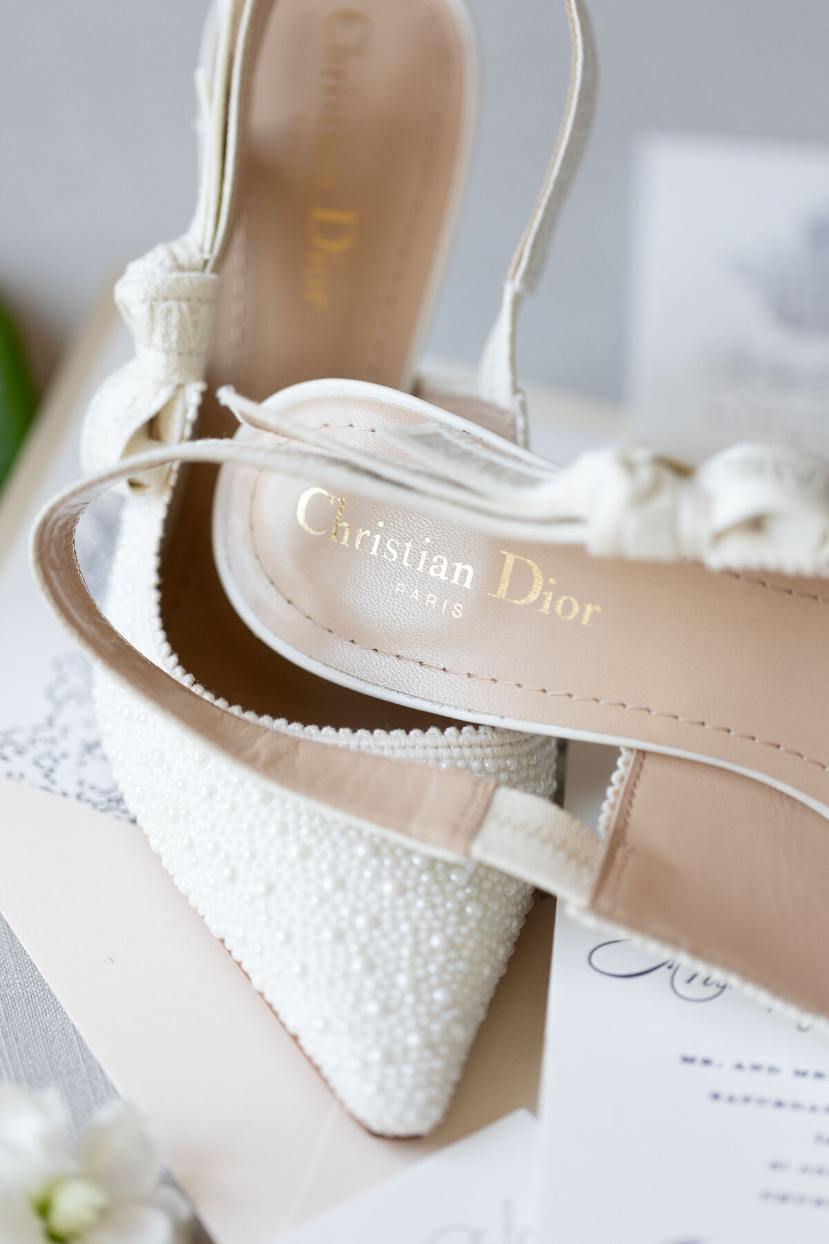 Kailee and Anthony Wedding- NPP0032