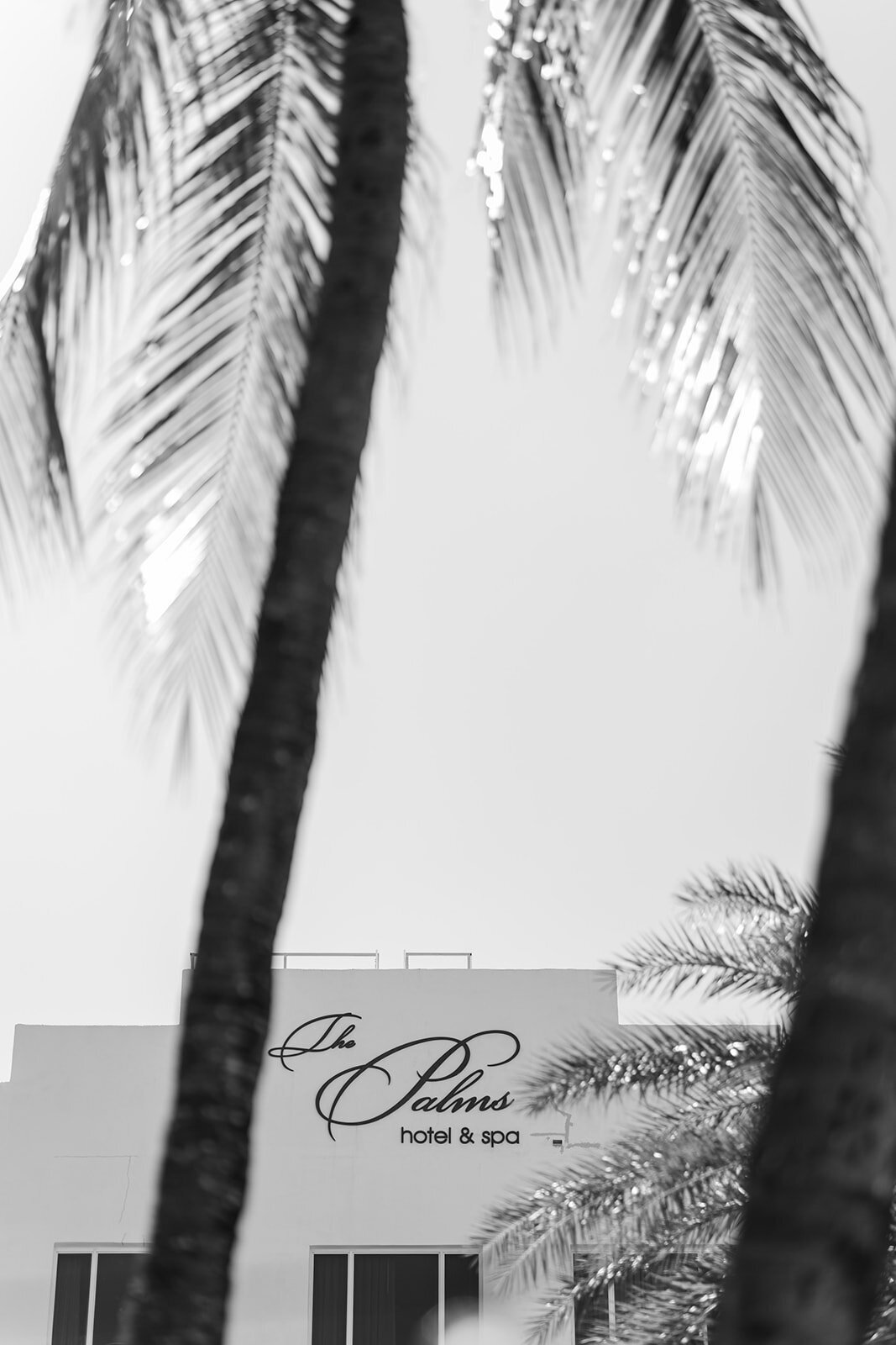 the-palms-hotel-miami-wedding-448