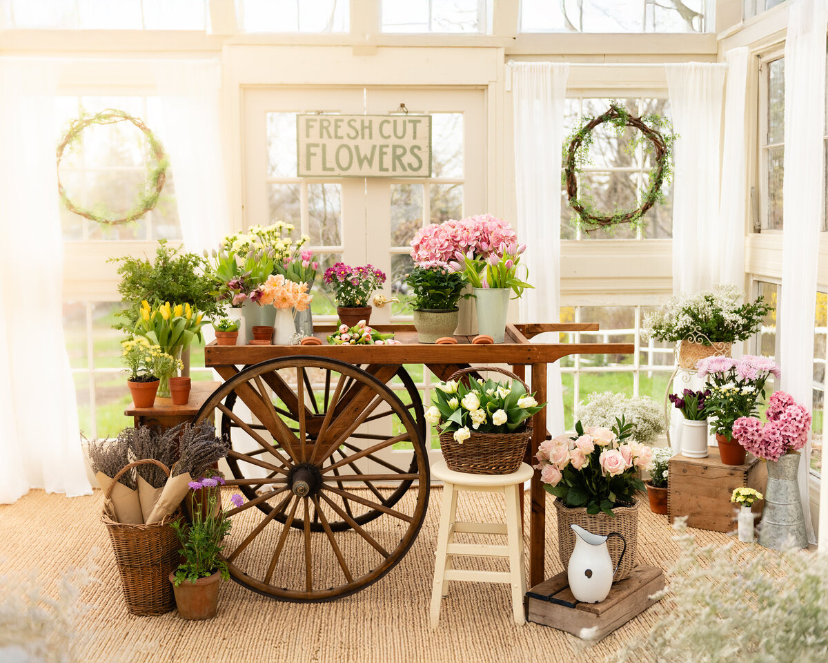 Rustic spring flower cart portrait display inside greenhouse in All Who Wander Flower Farm in Dundas Ontario