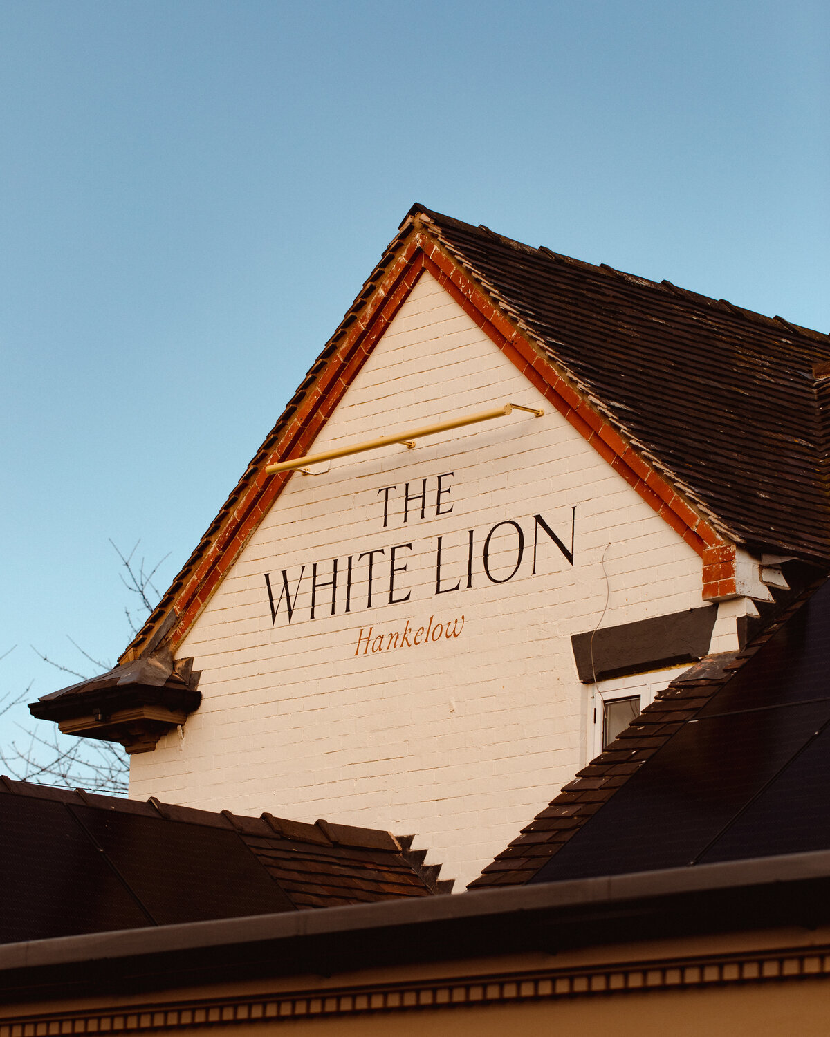 The_White_Lion_- Hero image