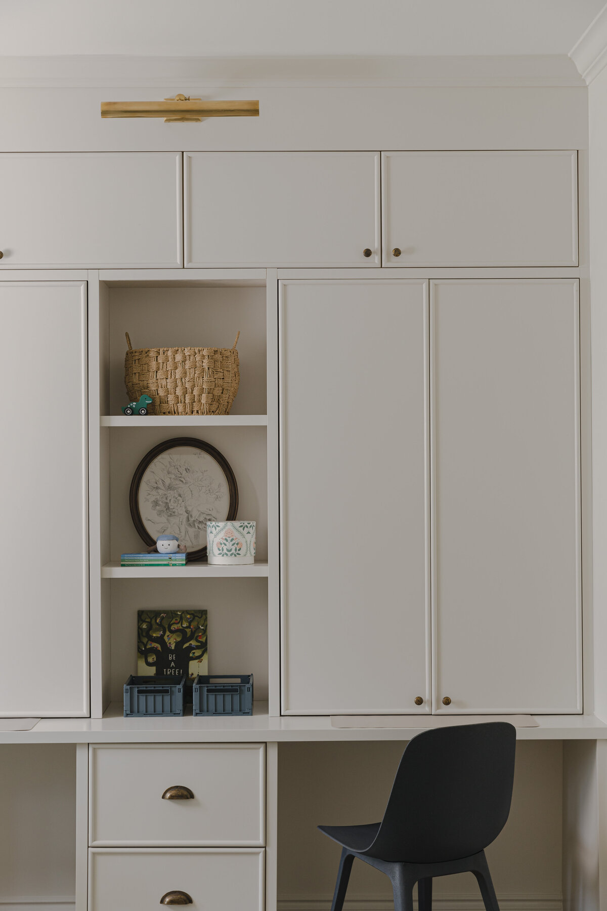 Living room bookshelves