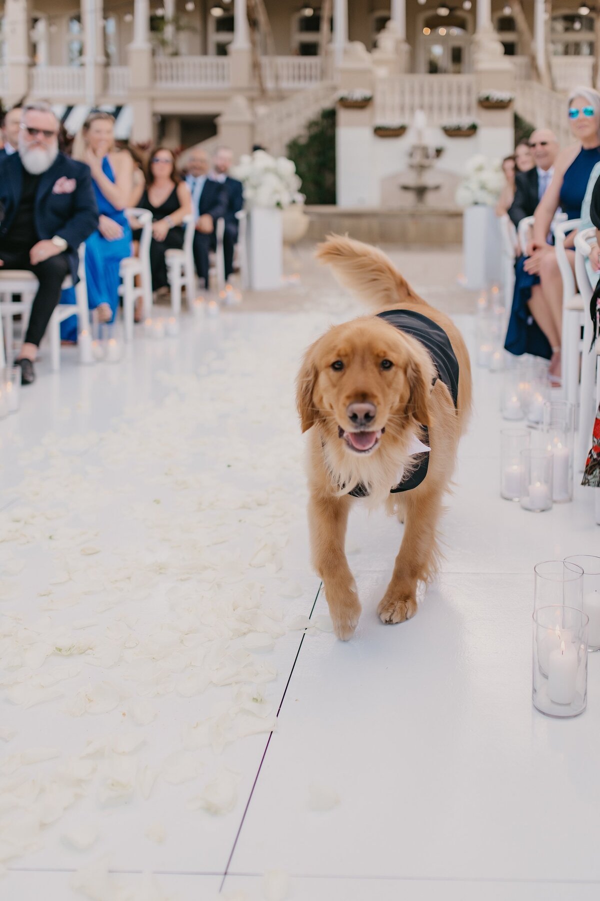 Southwest-Florida-Wedding-Planner-Allie-and-Matt-5