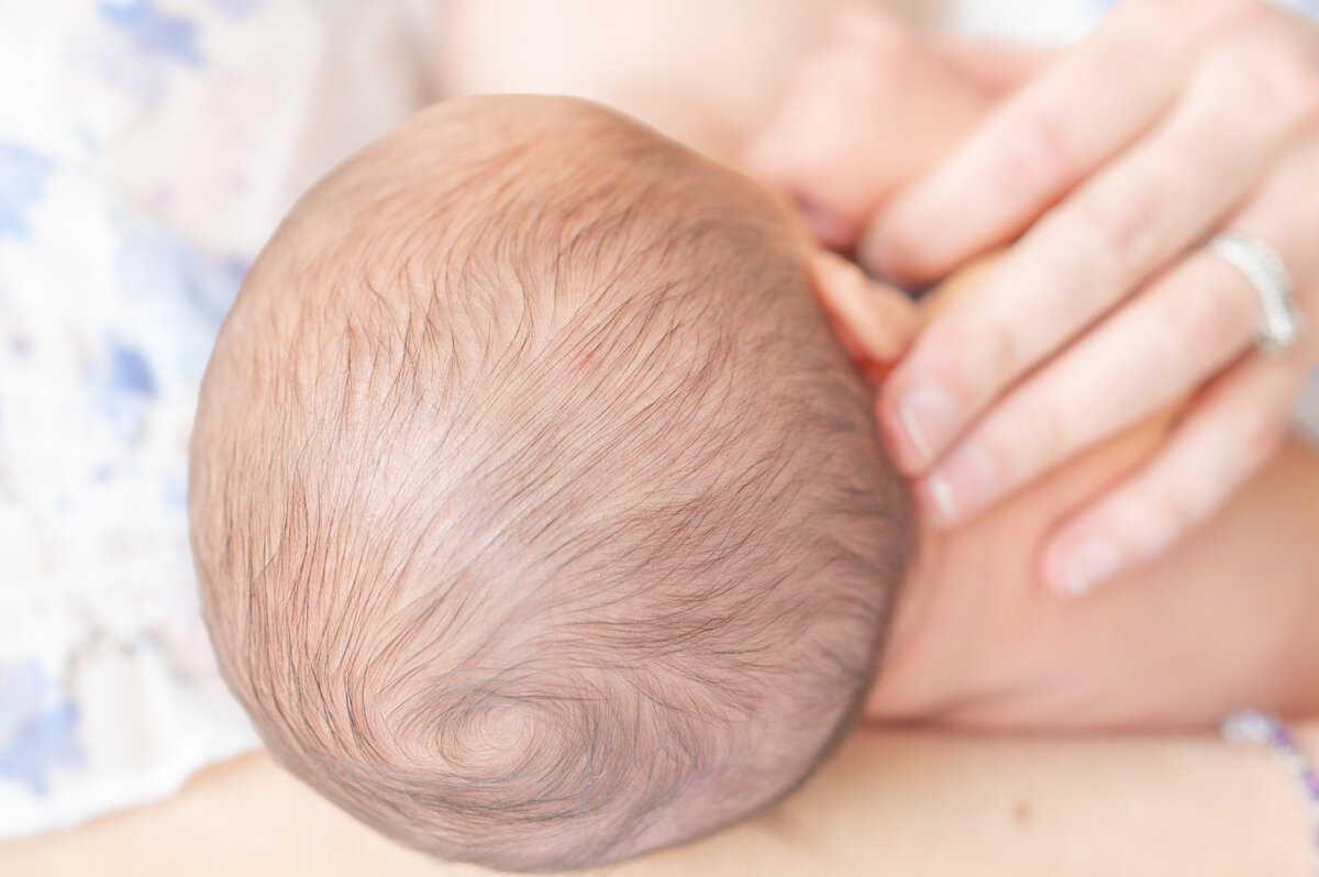 Raleigh newborn photographers