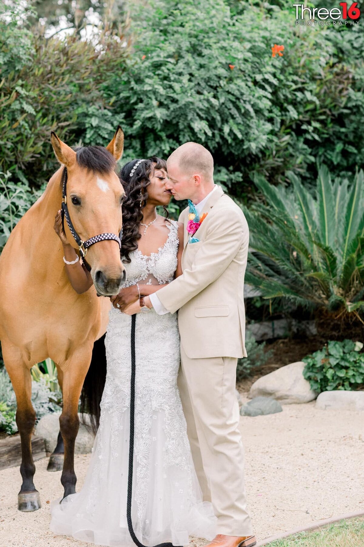 Bride and Groom share a romantic kiss while standing next to a horse