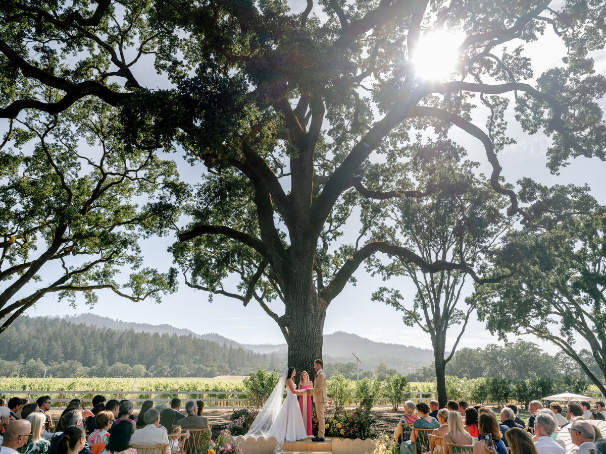 napa-documentary-best-photographer-wedding-dejauregui-photography-179