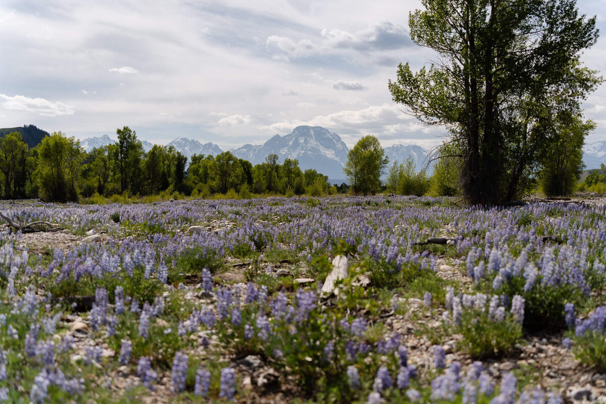 Wyoming-Elopement-Photographer-05