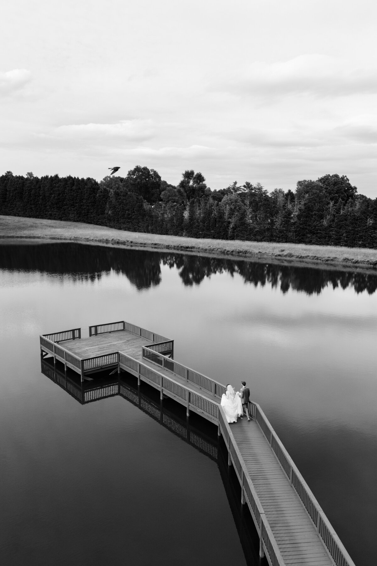 25033_3961_bw