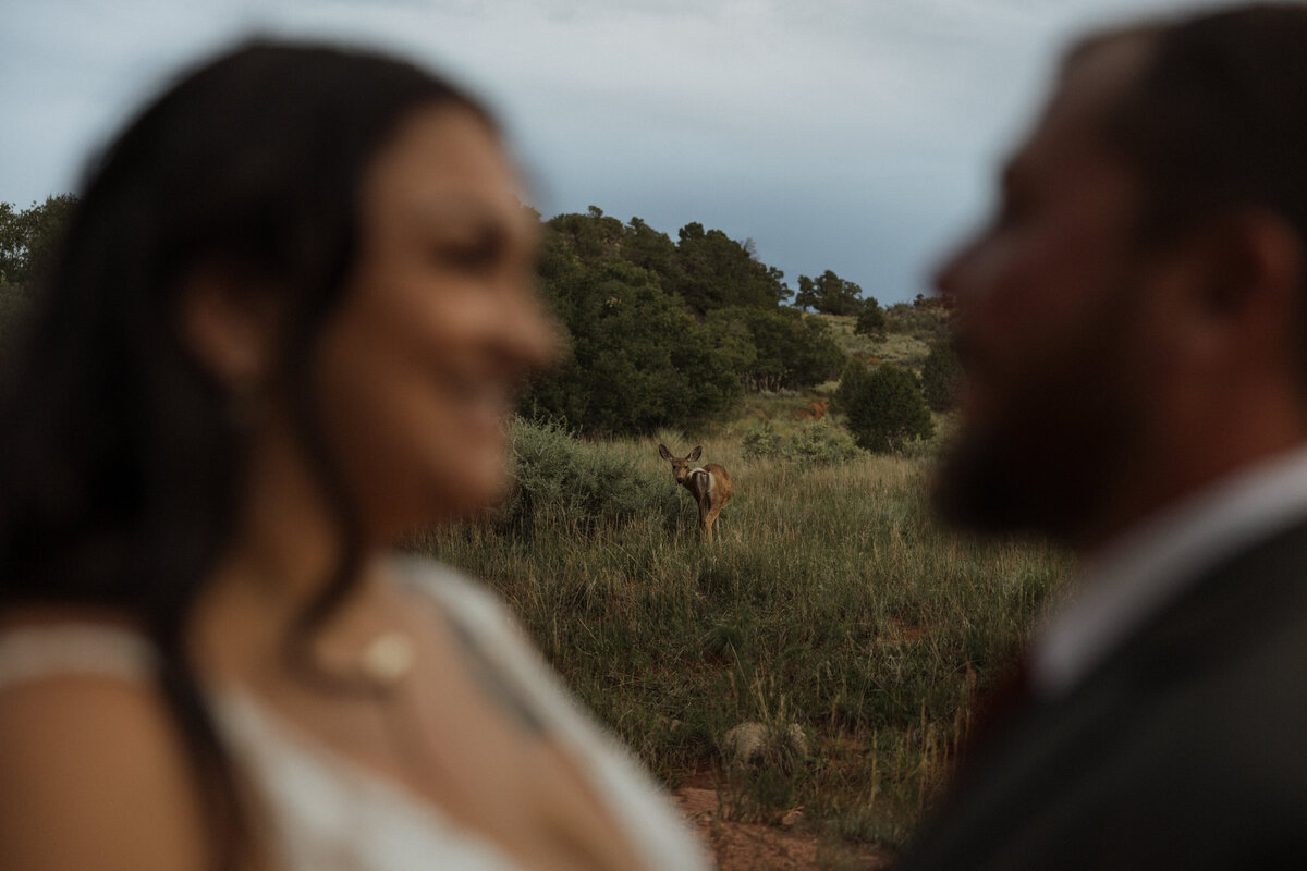Colorado-Elopement-Photographer-1091