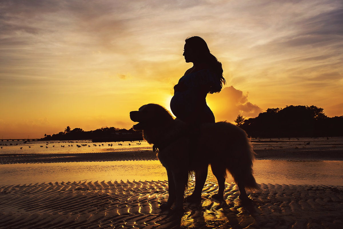 pregnancy photos beach dog ensaio de maternidade