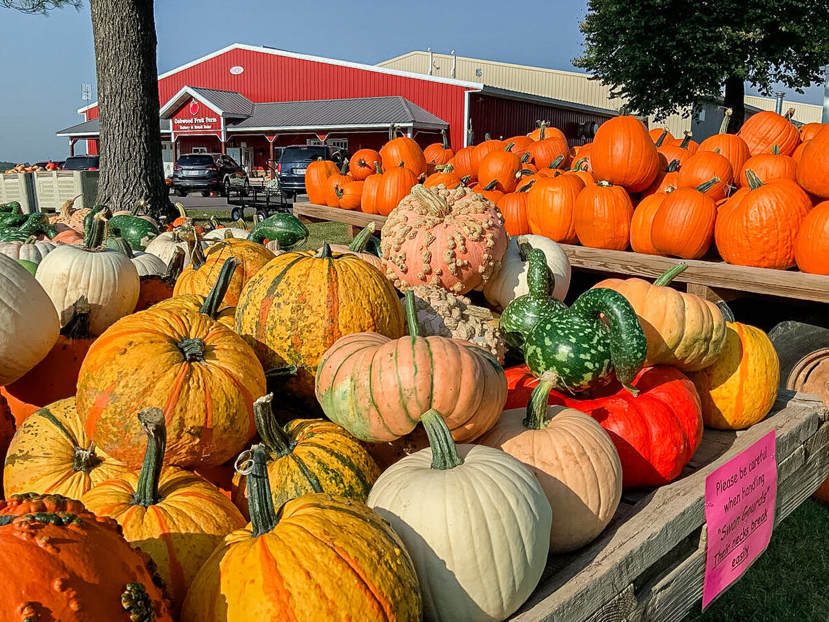 Retail Oakwood Fruit Farm-7
