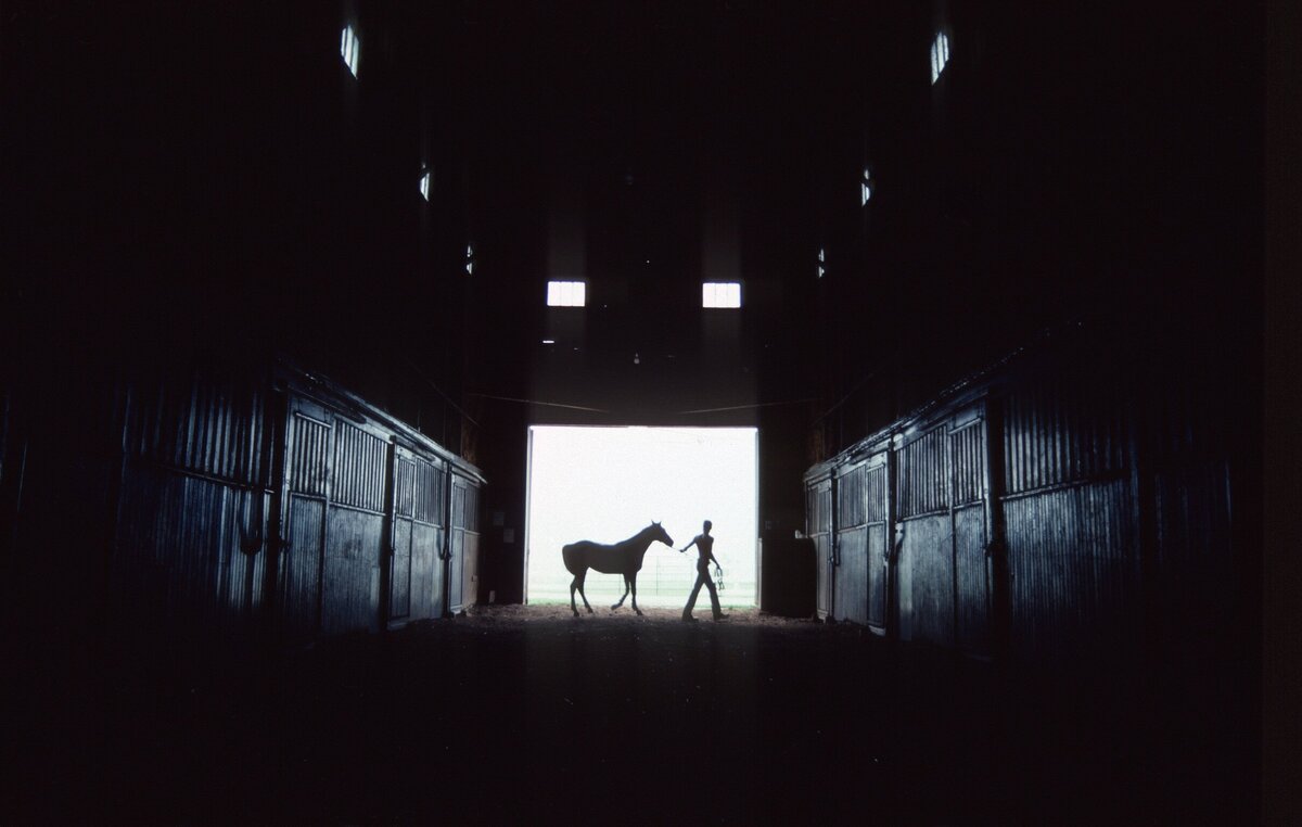 5R Show Barn Hallway