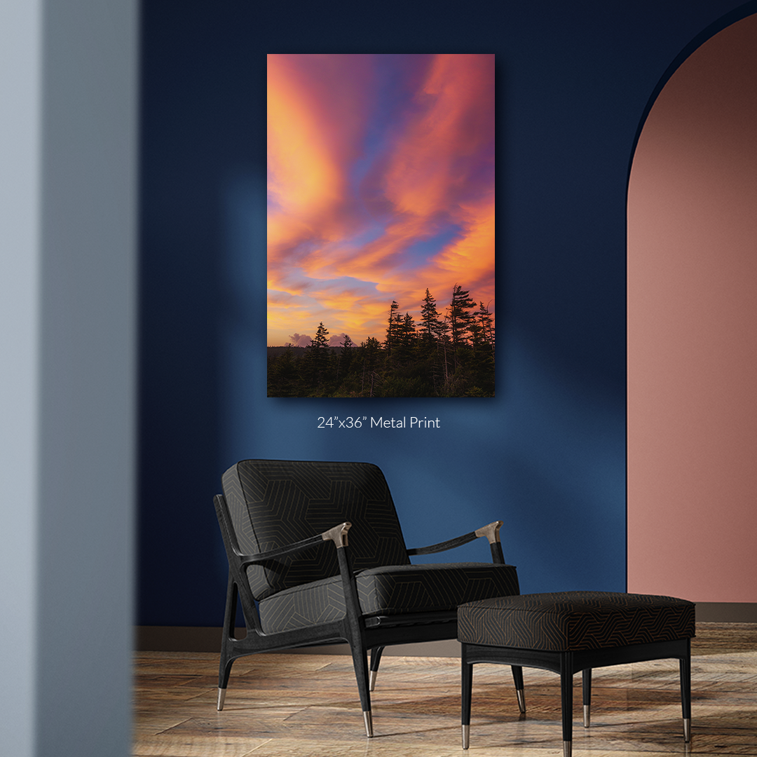 Zyan-Mockup3