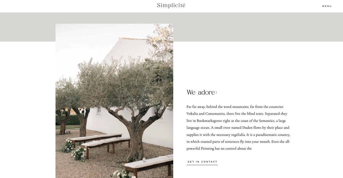 Showit_Website_Template_Simplicite_3
