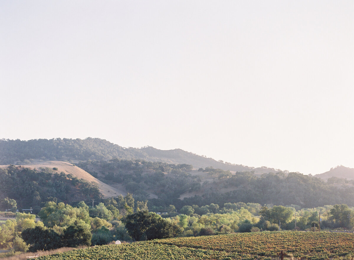 HeatherPaynePhoto_AmandaMarieSunstone_052