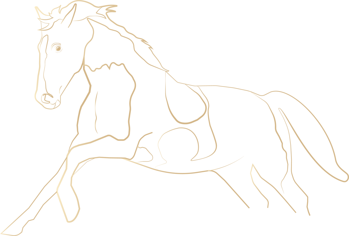 Zwaan zadelservice, zadelproblemen, duurzame ruitersport, paardenwelzijn, paard, blessures, ruiter, zadel, zadelpasconsult, palpatie, controle, nieuw zadel, zadelmerken, frank baisses saddlery, ikonic saddlery, arena saddles, wintec saddles, treeclix, LeMieux, acavallo, connect, revalidatie, veiligheidscheck zadel, bijvullen, singelstoten vervangen