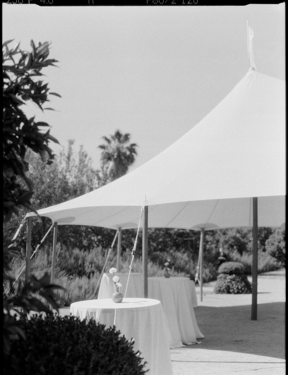 Film-7