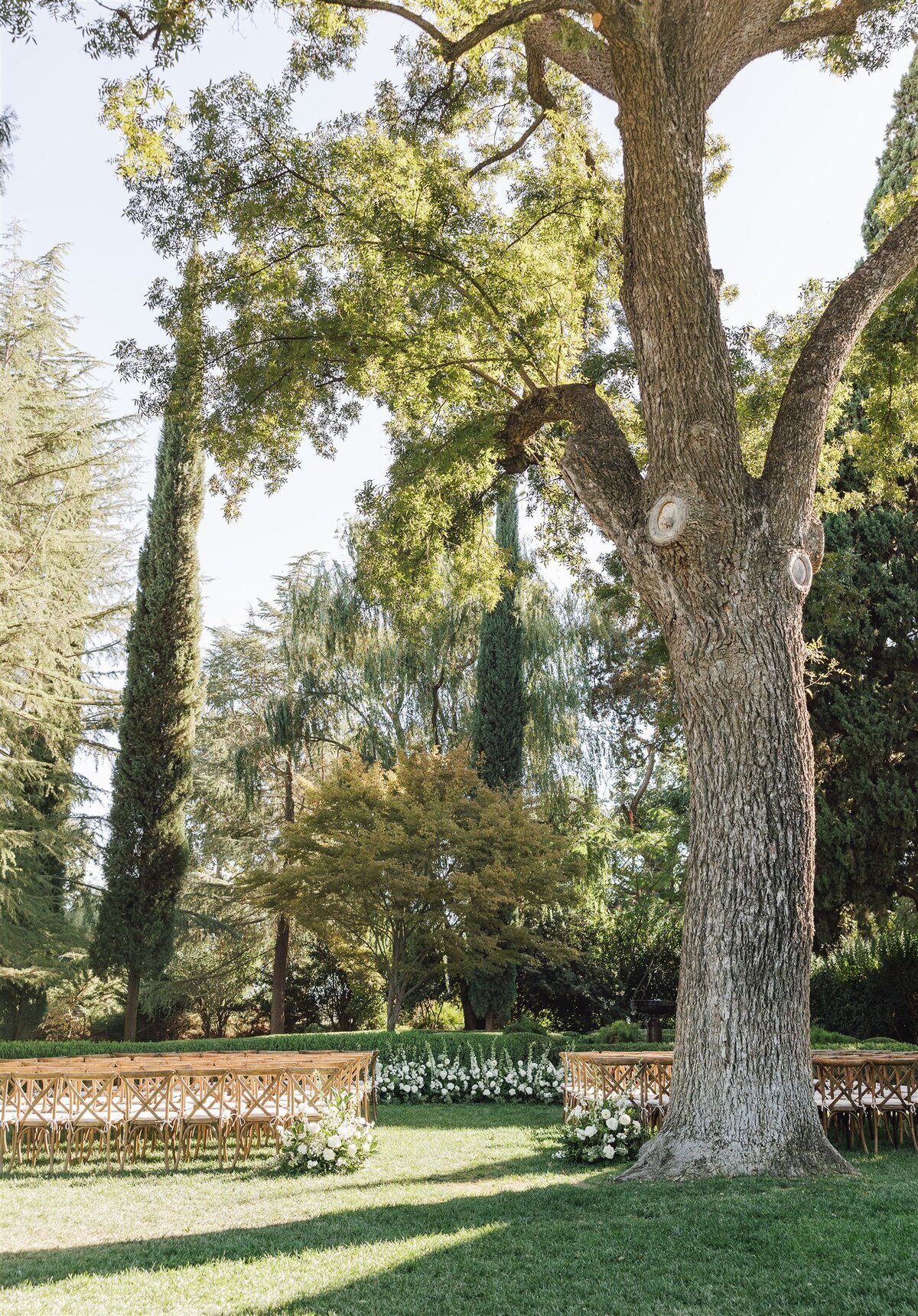 park-winters-wedding-shauna-clay-ashley-carlascio-photography-0403