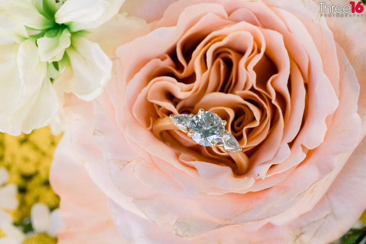 Three16 Photography Orange County-1043