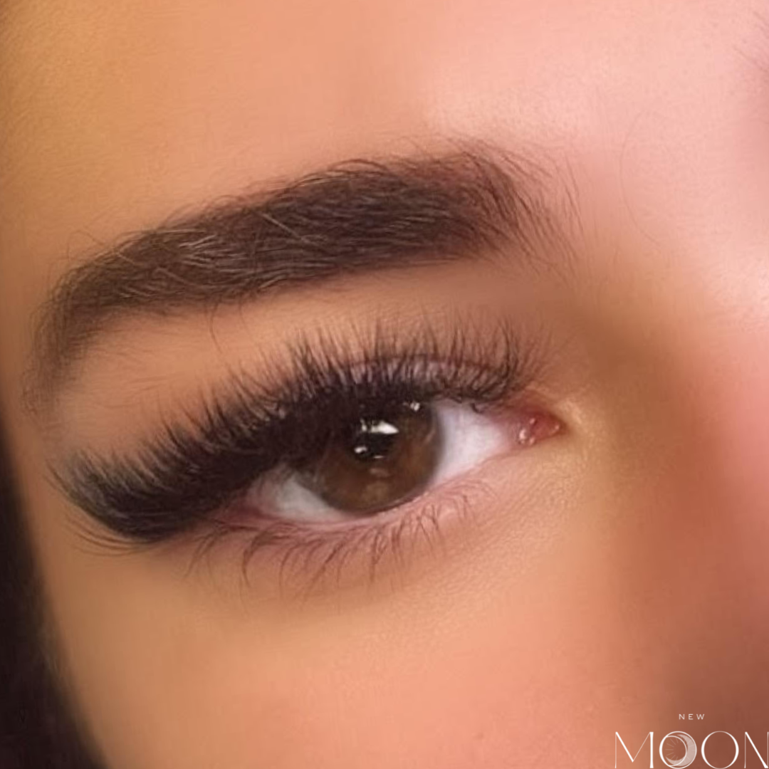 averi lash-2 (1)