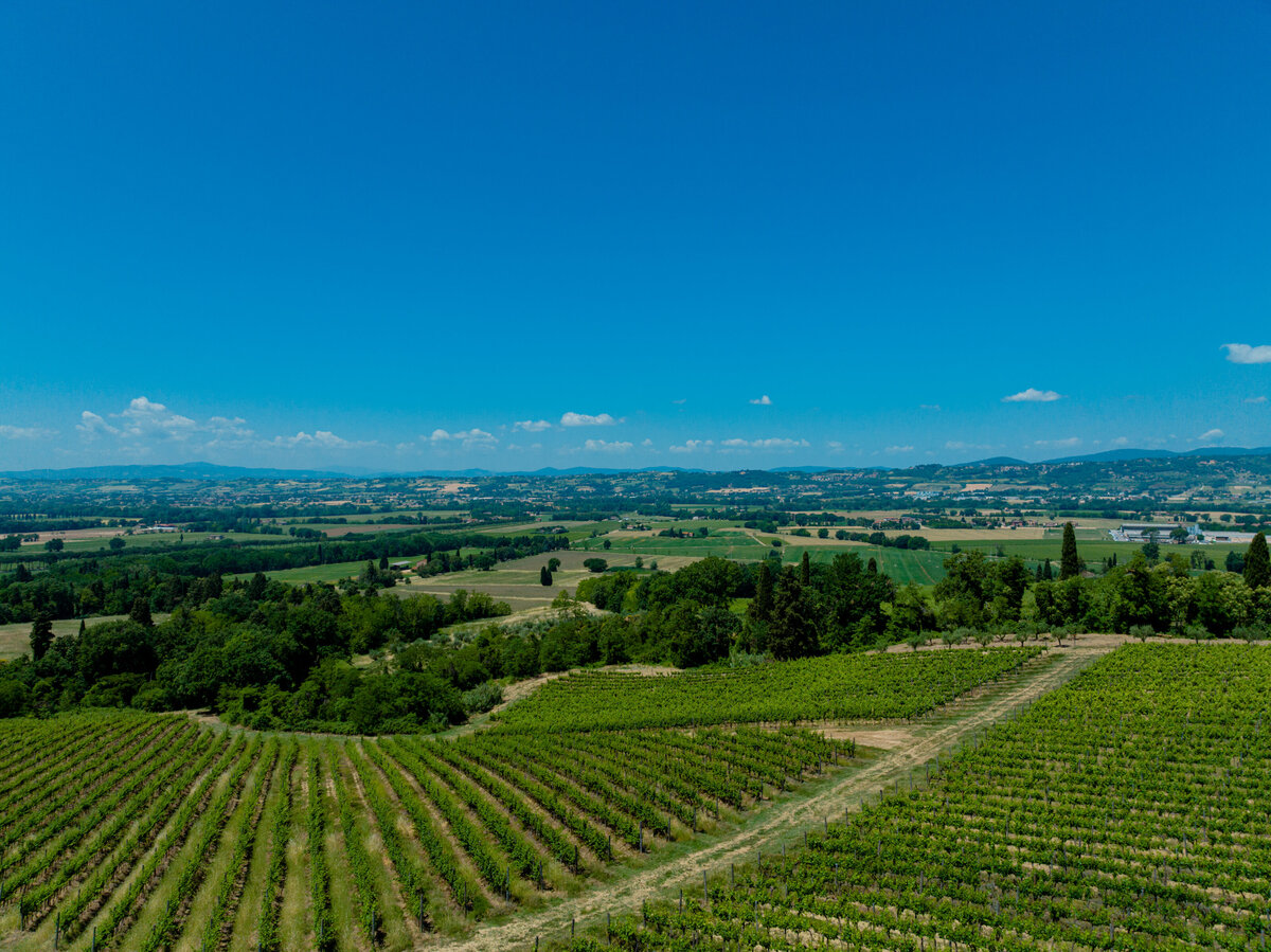 Waterstone - Borgobrufa Spa Resort - Brufa di Torgiano - Luxury Boutique Hotel - VIEW 2