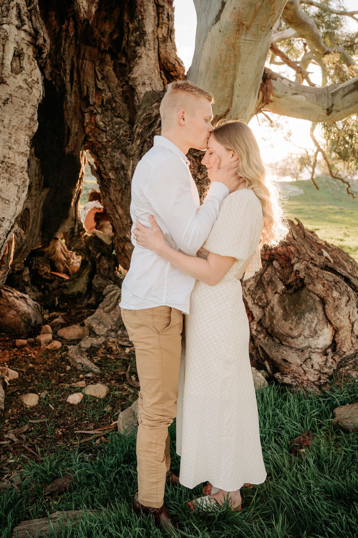 couple kissing under tree at the scenic rim