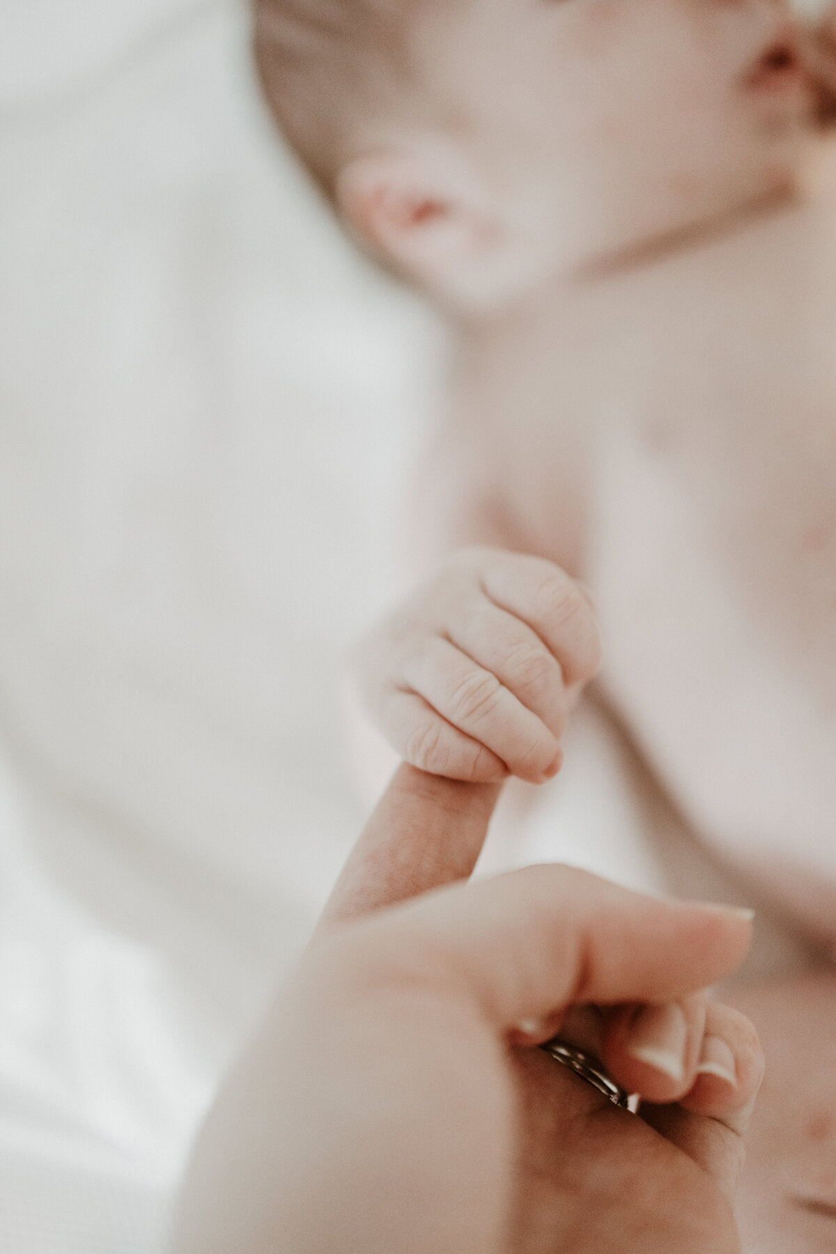 Seattle based motherhood, newborn and family photographer.
